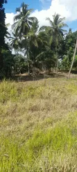 Ardhi Inauzwa - Kongowe Kibaha, Barabara ya Morogoro - 4