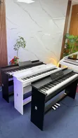 NuFex Digital Piano Model NFX - Ina Cover & Pedali 3 - 3