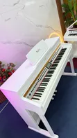 NuFex Grand Master 88-Key Digital Piano - 1