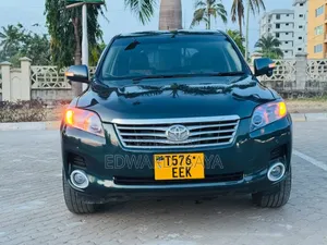 Toyota Vanguard 2008 Kijivu