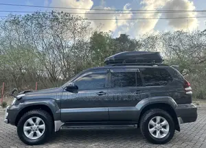 Toyota Land Cruiser Prado TX 2006 Grey