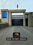Furnished 2-Bedroom House for Rent in Mwanza, Ilemela - 1
