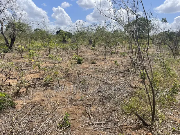 Shamba la Hekari 7 kwa Uuzaji Kiwangwa Bago - 1