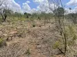 Shamba la Hekari 7 kwa Uuzaji Kiwangwa Bago - 1