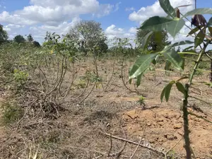 7 Hectare Farm for Sale in Kiwangwa Bago
