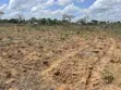 Shamba la Hekari 7 kwa Uuzaji Kiwangwa Bago - 4