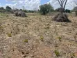 Shamba la Hekari 7 kwa Uuzaji Kiwangwa Bago - 5