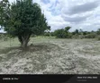 Land for Sale in Bagamoyo - 2