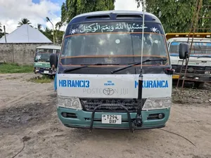 Toyota Coaster 2002 - White