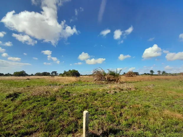 Land for Sale in Kigamboni Cheka - 1