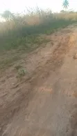 Kiwanja cha Makazi Mipeko, Mkulanga Kinauzwa - 3