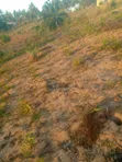 Kiwanja cha Makazi Mipeko, Mkulanga Kinauzwa - 4