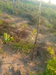 Kiwanja cha Makazi Mipeko, Mkulanga Kinauzwa - 5