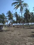 10 Acres Beach Plot for Sale at Kigamboni Dege Beach - 1