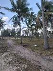 10 Acres Beach Plot for Sale at Kigamboni Dege Beach - 2