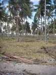 10 Acres Beach Plot for Sale at Kigamboni Dege Beach - 3