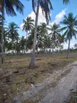 10 Acres Beach Plot for Sale at Kigamboni Dege Beach - 5