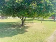 Nyumba ya Vyumba 5 vya Kulala Ikiwa na Samani kwa Ajili ya Kuuzwa Kunduchi Beach - 4