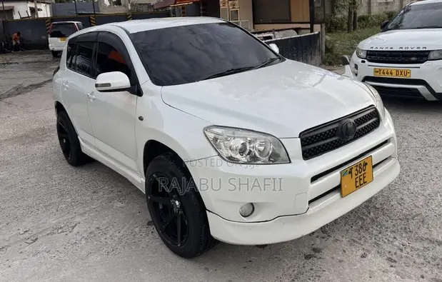 Toyota RAV4 2009 White - 1