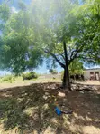 Kiwanja Kinauzwa Gezaulole, Kigamboni - 4
