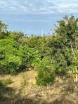 Land for Sale: Mbezi Beach Masana with Indian Ocean View - 4