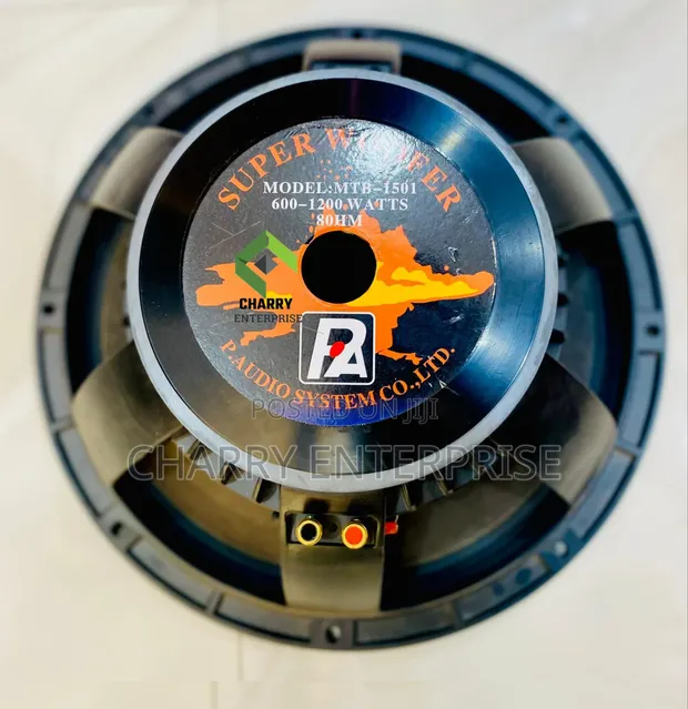 P Audio MTB-1501 Speaker 15" 600-1200W 8 Ohm - 1