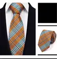 Premium Silk Tie - Executive Collection - 5