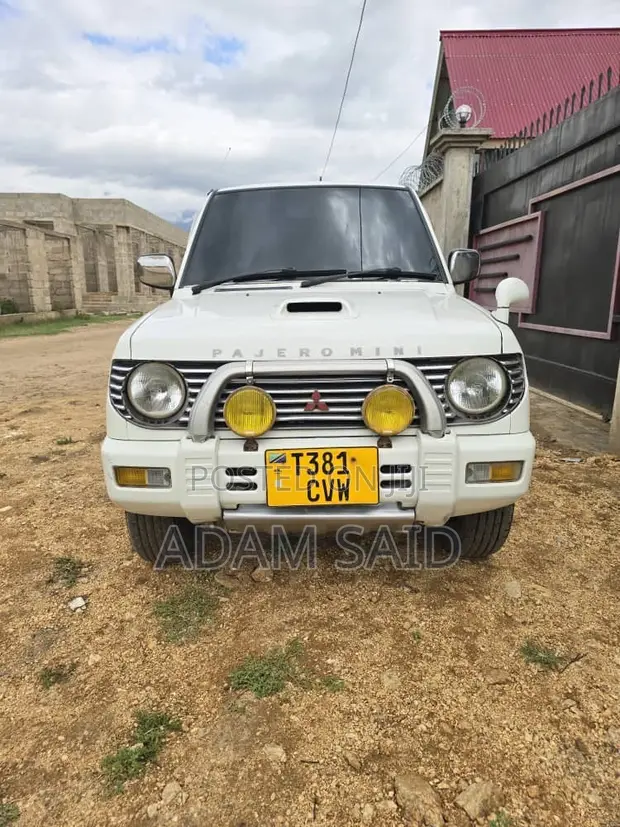 Mitsubishi Pajero 1996 Nyeupe - 1