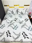 Soft Cotton Shuka - 1