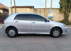 Toyota Allex 2004 Nyeupe