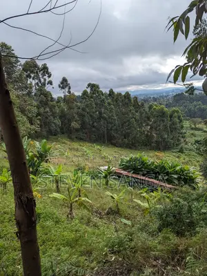 Shamba la Kilimo Linauzwa, Rungwe Mbeya