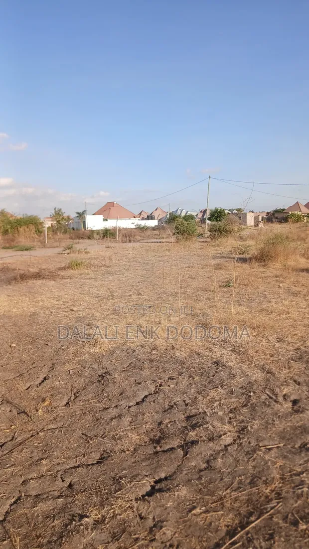 Land for Sale in Ilazo Extension, Dodoma - 1