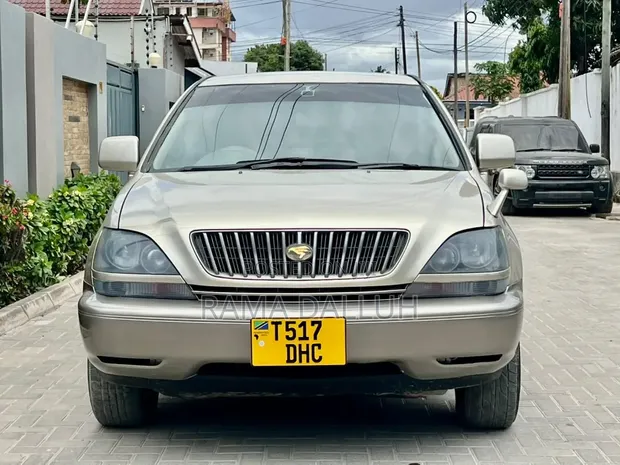 Toyota Harrier 2001 Kijivu - 1