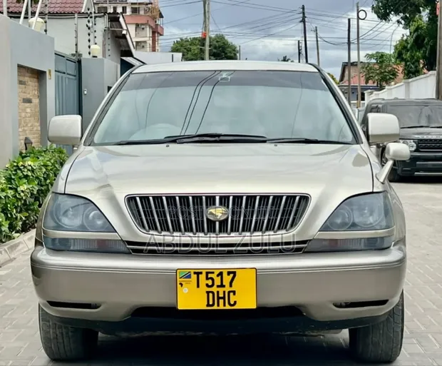 Toyota Harrier 2003 Dhahabu - 1