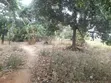 Eneo la Biashara kwa Mauzo TZS 300M, Barabara ya Morogoro Kongowe - 5