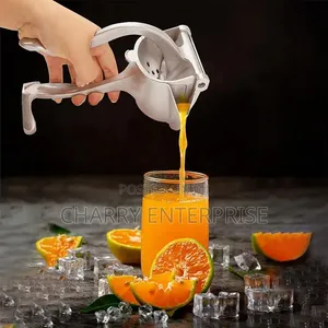 Manual Fruit Press Squeezer and Extractor