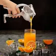 Manual Fruit Press Squeezer and Extractor - 1