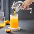 Manual Fruit Press Squeezer and Extractor - 2