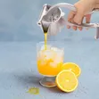 Manual Fruit Press Squeezer and Extractor - 5
