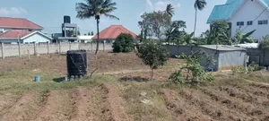2000 SQM Residential Plot with Title Deed in Geza Watumishi