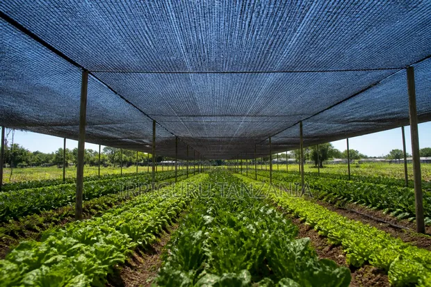 Crop Shading Fabric - 1