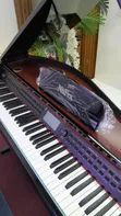 NuFex Digital Piano NFX 58830 - 2