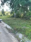 Eneo la Kilimo Linauzwa - Kitope, Zanzibar (Ekari 2) - 3