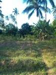 Eneo la Kilimo Linauzwa - Kitope, Zanzibar (Ekari 2) - 5