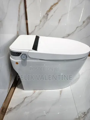 Smart Toilet (Floor Mounted)