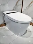 Smart Toilet (Inawekwa Sakafuni) - 2