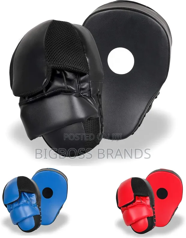 Professional Curved Boxing Focus Mitts - 1