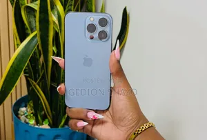 Apple iPhone 13 Pro Max 256GB Blue
