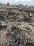 Land Plots for Sale, Mbezi Magufuli Msakuzi - 3