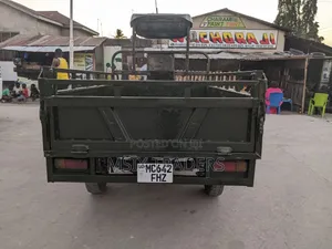 Sinoray SR250-Q7 2025 Three-Wheeler - Green